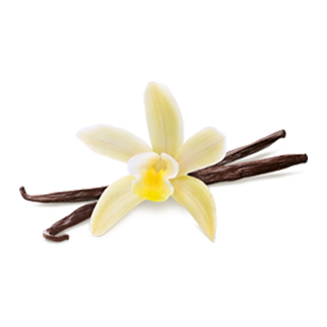 Vanilla Mini Cup Multipack